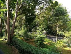 Tanglin Park (D10), Condominium #565680491